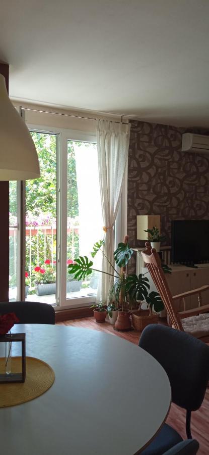 BranySol Apartman Novi Sad Bagian luar foto