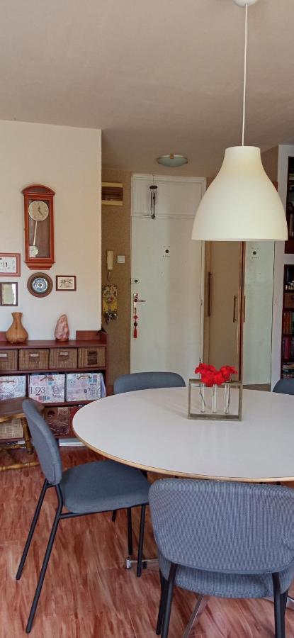 BranySol Apartman Novi Sad Bagian luar foto
