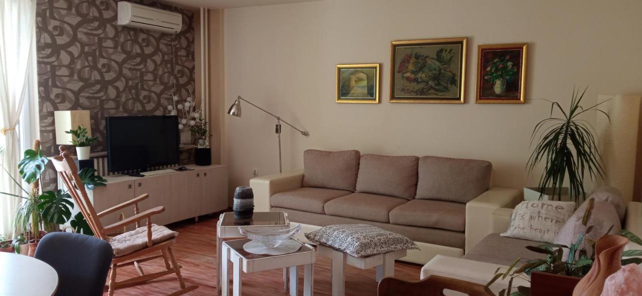 BranySol Apartman Novi Sad Bagian luar foto