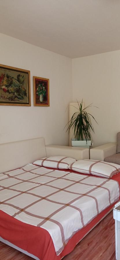 BranySol Apartman Novi Sad Bagian luar foto