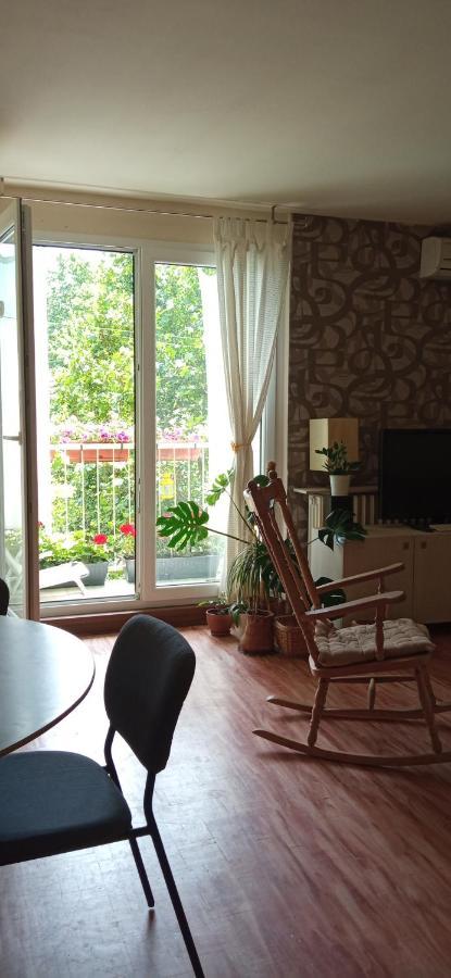 BranySol Apartman Novi Sad Bagian luar foto