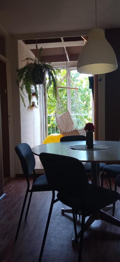 BranySol Apartman Novi Sad Bagian luar foto